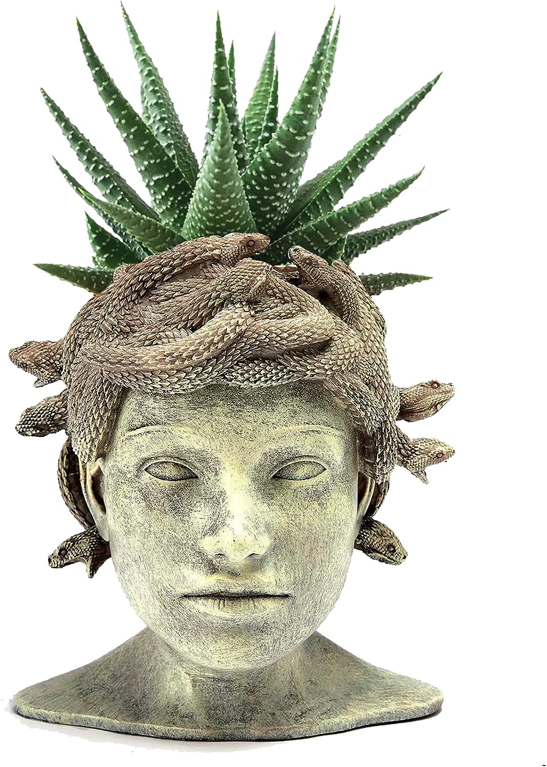 large head plant pot Medusa Head Planter, Large Solid Stone Face Planter Large Garden Decor Statue Flower