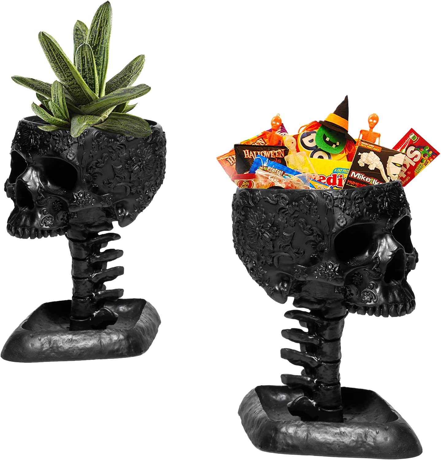 black skull plant pot Skull with Backbone Plant Planter Pot 6" Deep Polyresin Skulls Pot for Succulents