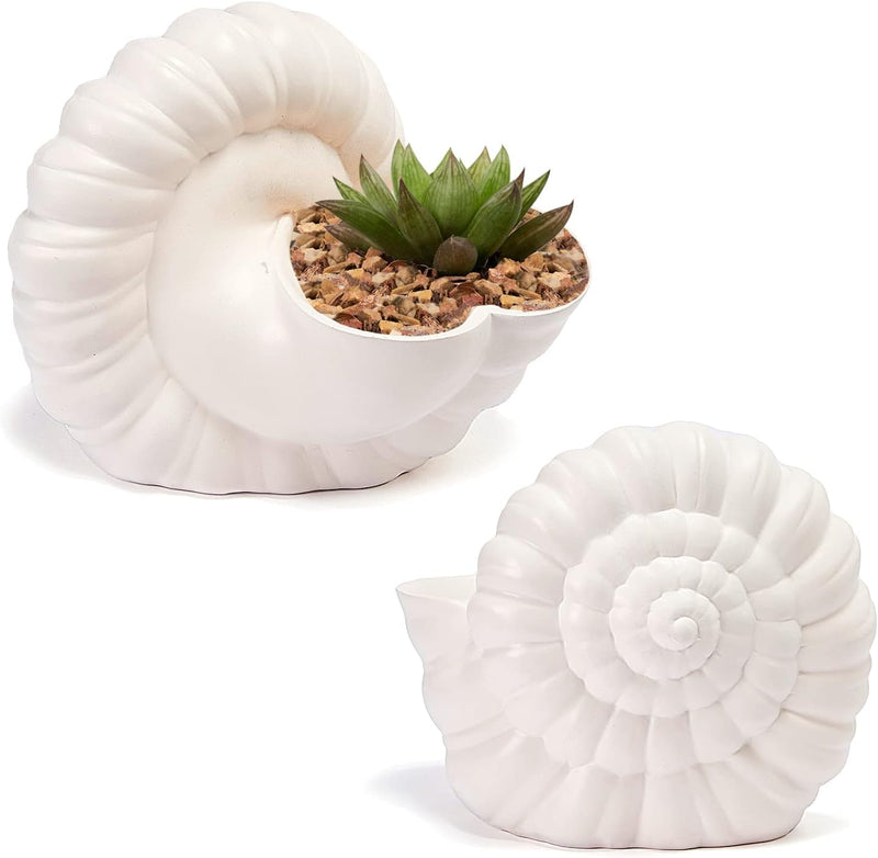 Seashell Succulent Planter Pot, Bowl & Vase, Handmade Conch Detailed White Planter, Large 9.5" Flower Plant Vase, Carved Beach Shell Decor - & Indoor Plants, Gift for Mom