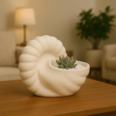 Seashell Succulent Planter Pot, Bowl & Vase, Handmade Conch Detailed White Planter, Large 9.5" Flower Plant Vase, Carved Beach Shell Decor - & Indoor Plants, Gift for Mom