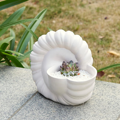 Seashell Succulent Planter Pot, Bowl & Vase, Handmade Conch Detailed White Planter, Large 9.5" Flower Plant Vase, Carved Beach Shell Decor - & Indoor Plants, Gift for Mom