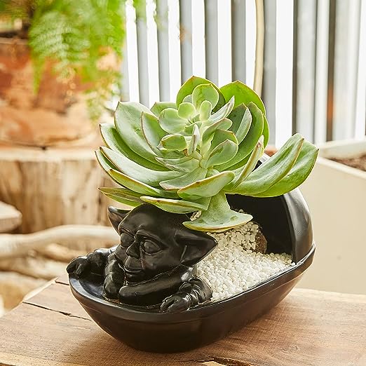 Baby Alien Succulent Planter, Beautiful Garden Handmade Star Flower Pot Ornament, Wars - with Drain Hole - Succulents, Plants & Flowers, Yard & Patio - Indoor & Outdoor Usage Birthday Gift Home Decor