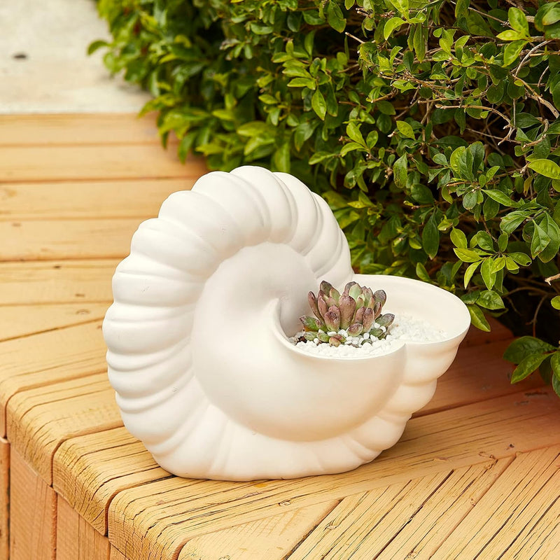 Seashell Succulent Planter Pot, Bowl & Vase, Handmade Conch Detailed White Planter, Large 9.5" Flower Plant Vase, Carved Beach Shell Decor - & Indoor Plants, Gift for Mom