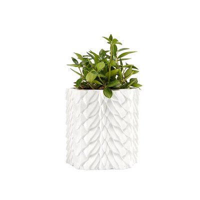 Dragon Scales Planter Pot & Vase Decanter - GOT, Fantasy I Plant and I Know Things - White Marble Color 6" Flower Plant Vase - Dragón Monster Cylindrical for House & Indoor Plants