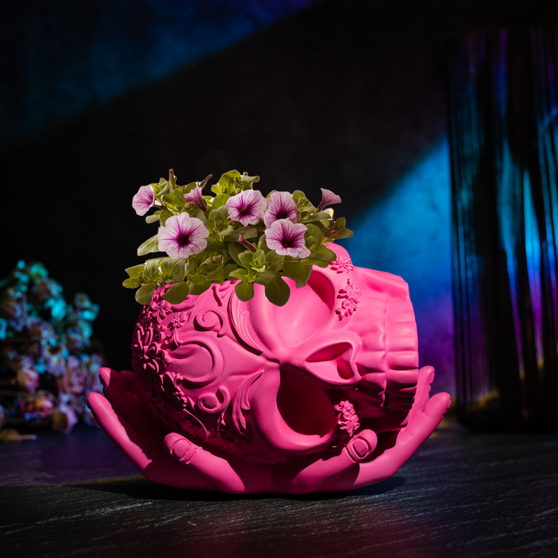 Skull Halloween Candy Bowl, Plant Planter Pot with Hand | Spooky Goth Gothic Home Decoration, Extra Large, Strong Resin, Skeleton Sweet Sugar Serving Tray, Skull and Bones Trick Or Treat Décor (Pink)